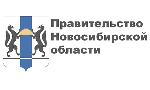 Правительство НСО